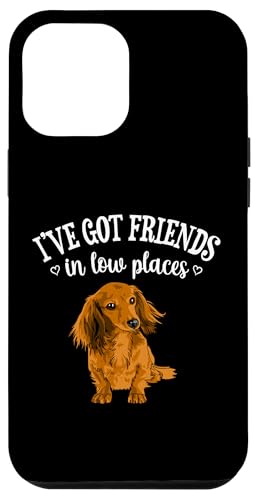 Funny Friends In Low Places Long Haired Dachshund Lover Hülle für iPhone 12 Pro Max Funny Friends In Low Places Long Haired Dachshund Lover Hülle für iPhone 12 Pro Max von Cute Doxie Weiner Dog Gifts Shirts & Hoodies