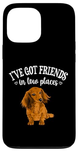 Funny Friends In Low Places Long Haired Dachshund Lover Hülle für iPhone 13 Pro Max Funny Friends In Low Places Long Haired Dachshund Lover Hülle für iPhone 13 Pro Max von Cute Doxie Weiner Dog Gifts Shirts & Hoodies
