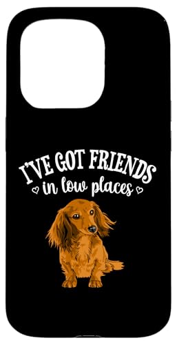 Funny Friends In Low Places Long Haired Dachshund Lover Hülle für iPhone 15 Pro Funny Friends In Low Places Long Haired Dachshund Lover Hülle für iPhone 15 Pro von Cute Doxie Weiner Dog Gifts Shirts & Hoodies