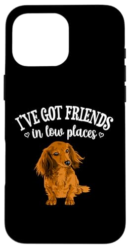 Funny Friends In Low Places Long Haired Dachshund Lover Hülle für iPhone 16 Pro Max Funny Friends In Low Places Long Haired Dachshund Lover Hülle für iPhone 16 Pro Max von Cute Doxie Weiner Dog Gifts Shirts & Hoodies