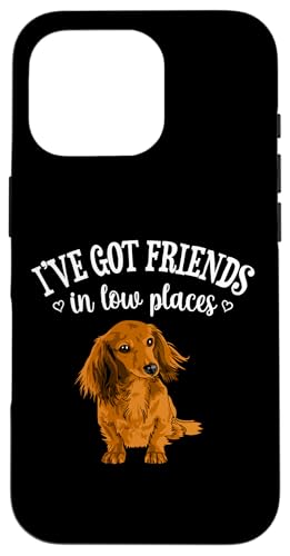 Funny Friends In Low Places Long Haired Dachshund Lover Hülle für iPhone 16 Pro Funny Friends In Low Places Long Haired Dachshund Lover Hülle für iPhone 16 Pro von Cute Doxie Weiner Dog Gifts Shirts & Hoodies