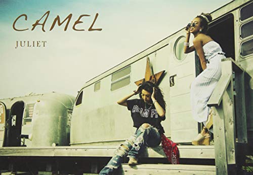 Camel (Cd/Dvd) von DAIKI