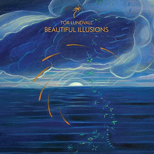 Beautiful Illusions (Ltd.Clear Blue Vinyl) [Vinyl LP] von DAIS RECORDS