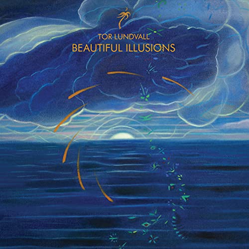 Beautiful Illusions [Vinyl LP] von DAIS RECORDS