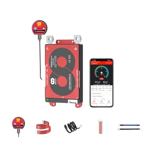 DALY Smart 8S BMS 24V mit WiFi Modul und CAN 485 Kommunikationsschutzplatine für LifePO4 Lithium Batterie Pack(8S 24V Smart BMS+RS485+CAN+WiFi Modul，40A) von DALY