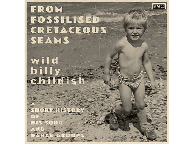 Billy Childish - From Fossilised Cretaceous Seams: A Short History (Vinyl) von DAMAGED GO