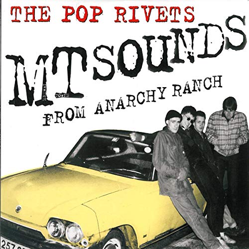 Empty Sounds from Anarchy Ranch [Vinyl LP] von DAMAGED GOODS