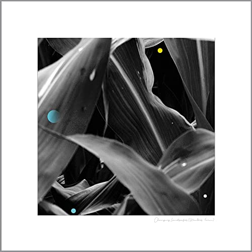 Changing Landscapes (Wauters Farm) [Vinyl LP] von Dangerbird