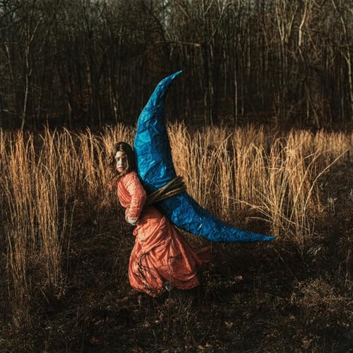Mutual Horse [Vinyl LP] von Dangerbird