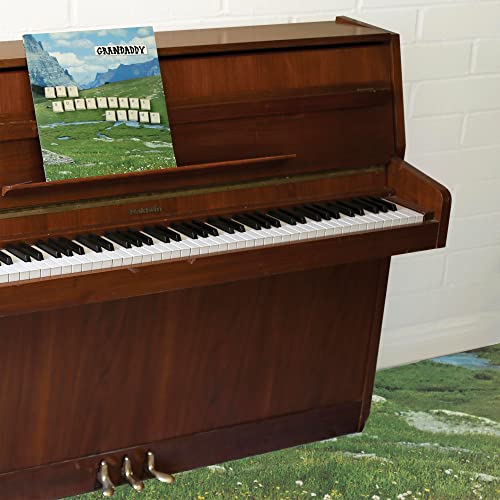 The Sophtware Slump ..... on a wooden piano von DANGERBIRD RECORDS