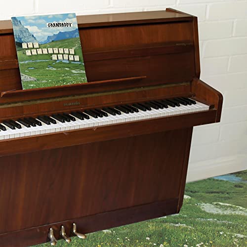 The Sophtware Slump ..... on a wooden piano The Sophtware Slump ..... on a wooden piano von Dangerbird