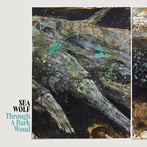 Through A Dark Wood [Vinyl LP] von DANGERBIRD RECORDS