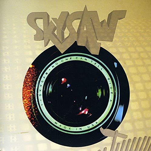 No One Can Tell/Serated [VINYL] [Vinyl LP] von DANGERBIRD