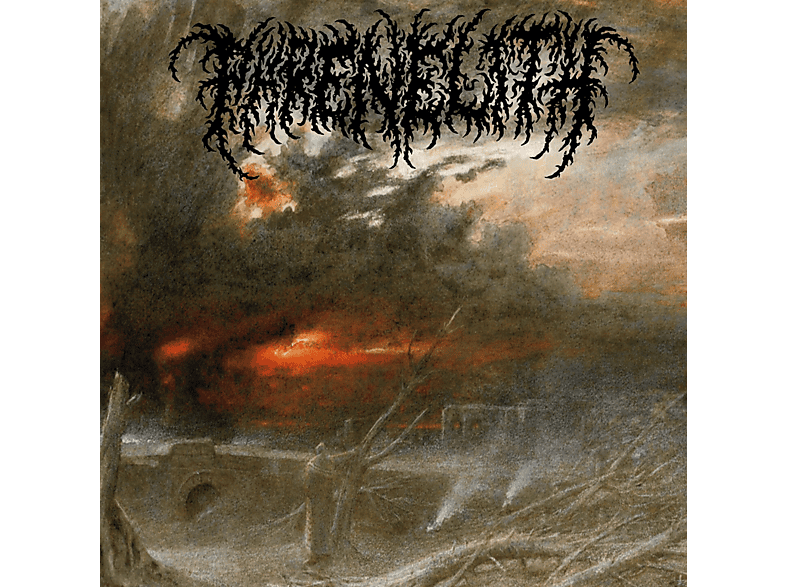 Phrenelith - Desolate Endscape (CD) von DARK DESCE