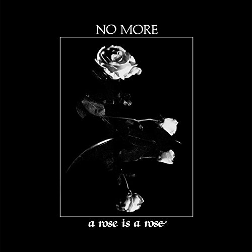 A Rose Is a Rose (Lp+7") von DARK ENTRIES