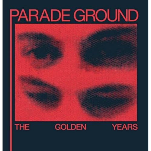 Golden Years [Vinyl LP] von DARK ENTRIES