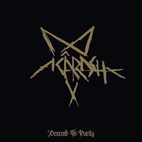 Descend To Purity [Vinyl LP] von DARK ESSENCE