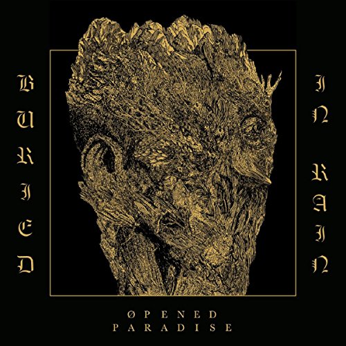 Buried in Rain (Gold Vinyl) [Vinyl LP] von DARKSIDE