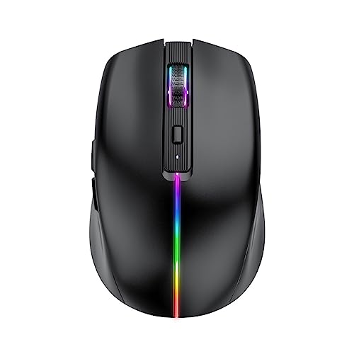 DAY DAY HAPPY Kabellose Maus Bluetooth-Computermäuse Typ C wiederaufladbare RGB-Gaming-Mäuse (Black) von DAY DAY HAPPY