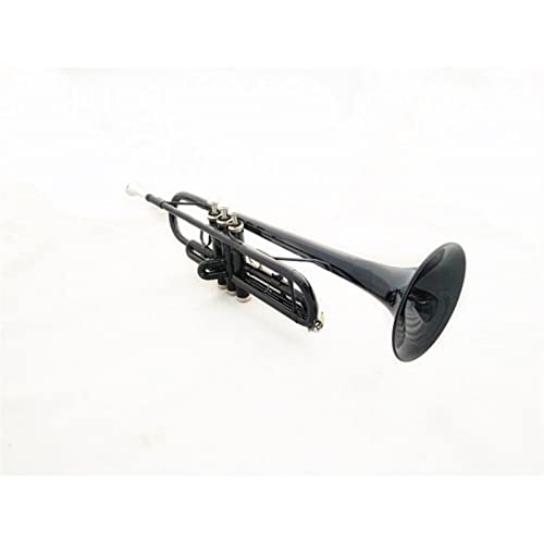 Trompete Messing B Flache Trompete Musikinstrument Anfänger Trompete Band Schwarze Trompete von DAYKET