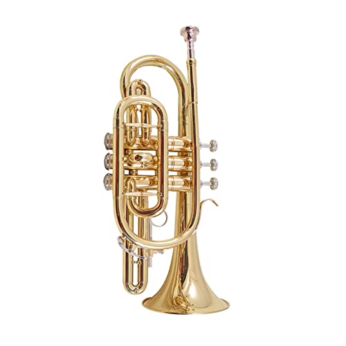 Trompete Messing Cornet Instrument BB Tune Windinstrument Allgemeines Für Anfängerorchester von DAYKET