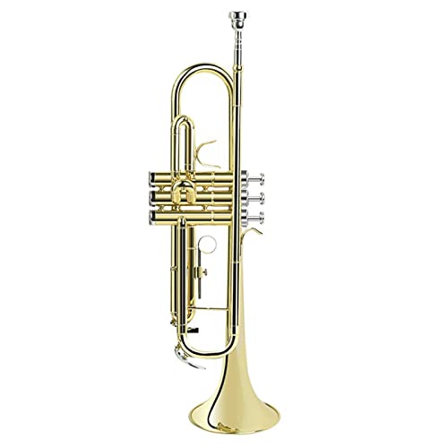 Trompete Messing Ein Trompeteninstrument In B-Wohnung Für Die Untersuchung Von Blasinstrumenten (Color : Gold) von DAYKET