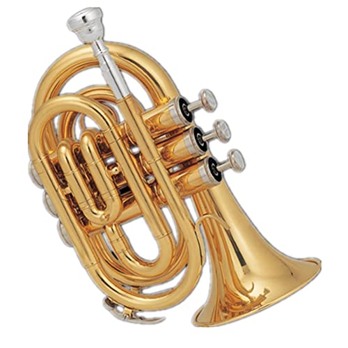 Trompete Messing Goldlack Messing Körperton BB Pocket Trompete von DAYKET
