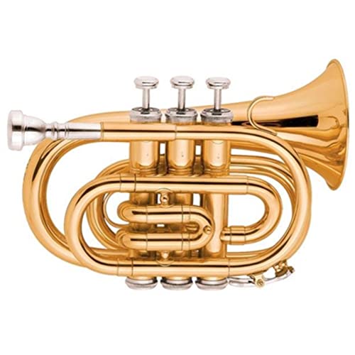 Trompete Messing Goldlack Ton BB Pocket Trompete von DAYKET