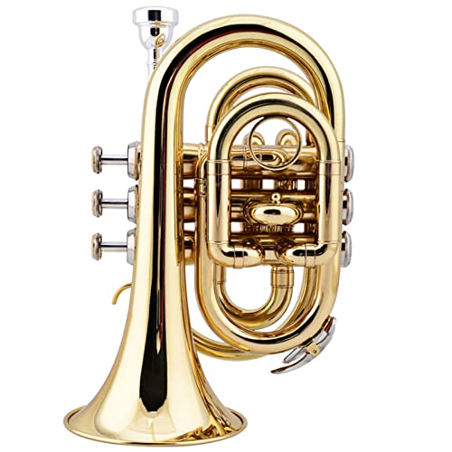 Trompete Messing Palm Größe Tragbare Trompete B Flache Taschen-Kornet Messing Instrument Lackiertes Gold von DAYKET