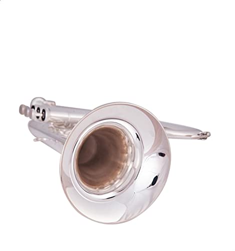 DAYKET Trompete Messing Professionelle Leistung Von DREI Schlüssigem Trompeteninstrument In Der Wohnung (Color : Silver Plated) von DAYKET