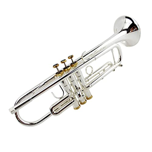 Trompete Messing Professionelle Leistungsgrad B Flach Trompete Musikinstrument Versilbert Einteiliges Horn Handgeschnitzt von DAYKET