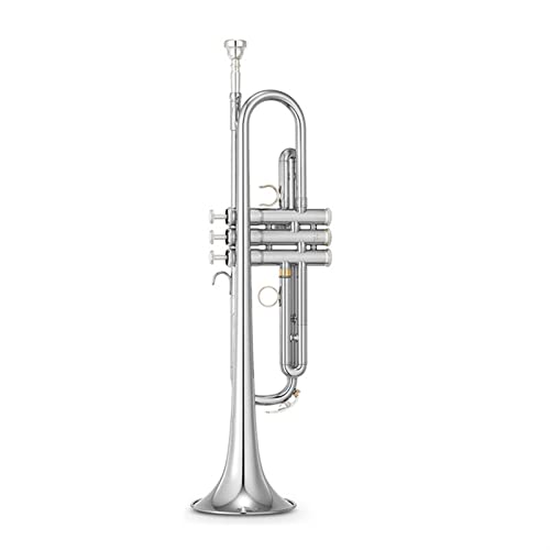 Trompete Messing Trompete Musikinstrument B-flache Trompete Professionelle Leistung Für Kinder Und Erwachsene Anfänger (Color : Silver) von DAYKET