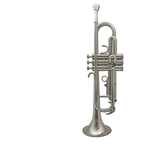 Trompete Messing Trompetenmusikinstrument In B Wohnung Für Anfänger General Messing Trompete Messing Band Schule Messing Band (Color : Silver) von DAYKET