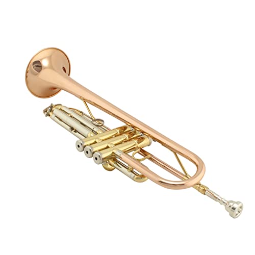 Trompete Messing Western Orchestral B-flache Trompete Phosphorbronze von DAYKET