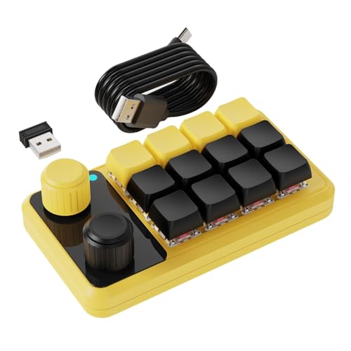 DAYnagh Anpassbare Makros-Tastaturen mit 12 Tasten RGBs, Beleuchtung, zwei Reglerknöpfen, Empfänger und USB-C-Kabel von DAYnagh