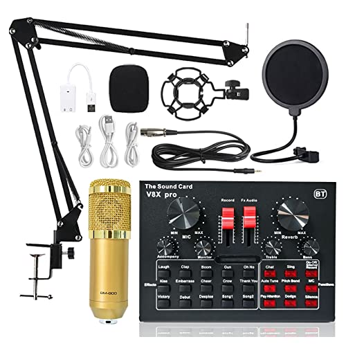 DCDCD Kondensatormikrofonpaket, Mikrofon -Kit mit Live -Soundkarte, einstellbare Mikrofon -Suspensionsschere, Audio -Schnittstelle DJ Rührgerät(5) von DCDCD