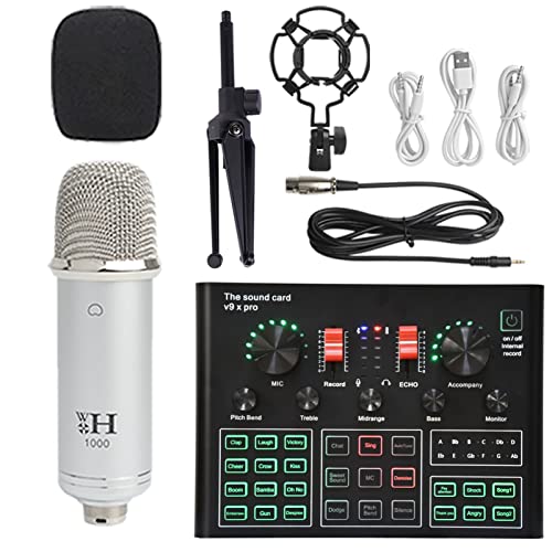DCDCD Podcast Equipment Bundle Sound Card Live Broadcast Dedizierte vollständige Set von V8 Live Broadcast Set BM800 Mikrofon(16) von DCDCD