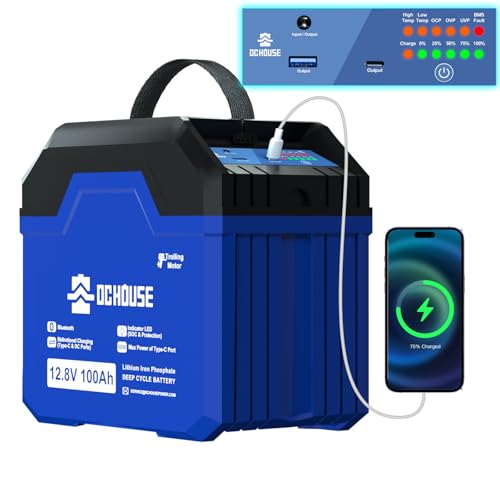 DCHOUSE 12V 100Ah LiFePO4 Bluetooth Batterie mit Indikator Anzeige,USB-A, DC, Type-C Ports,100A BMS,1280Wh Lithium Batterie 12V 100Ah Autobatterie für Trolling Motor,Wohnmobil, Wohnwagen,Camping von DCHOUSE
