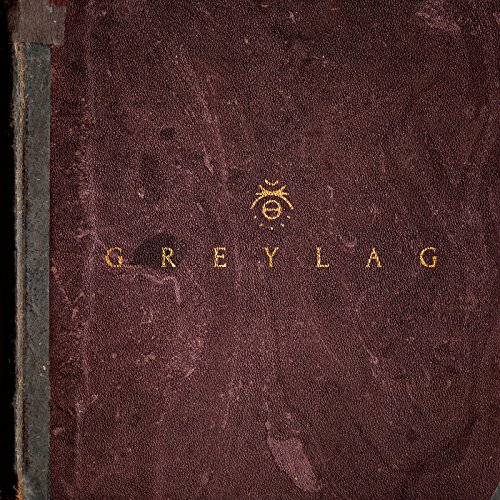 Greylag [Vinyl LP] von DEAD OCEANS