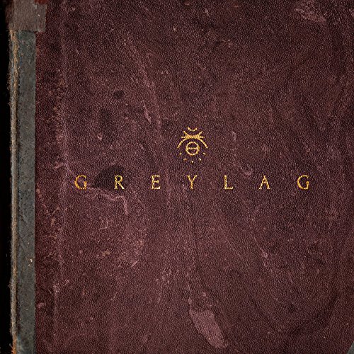 Greylag von Dead oceans