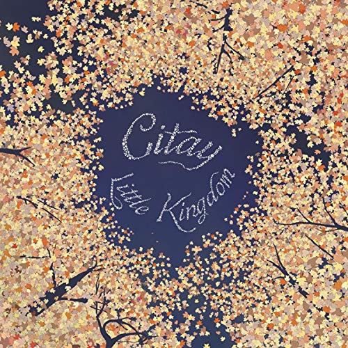 Little Kingdom von Dead oceans