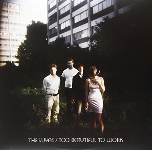 Too Beautiful to Work [Vinyl LP] von DEAD OCEANS