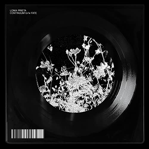 Continuum b/w Fate (Square 7"" in a thick PVC bag with screen printing) [Vinyl Single] von membran