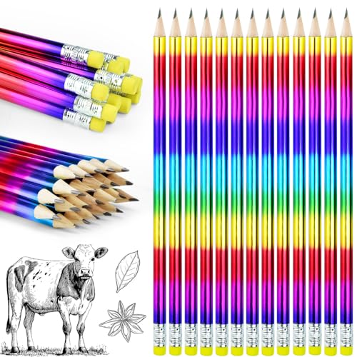DECARETA 24er Set HB Bleistifte Set mit Radiergummi Vorgespitzt Bleistifte für Schreiben Zeichnen Skizzieren Prüfungen Schule Büro von DECARETA