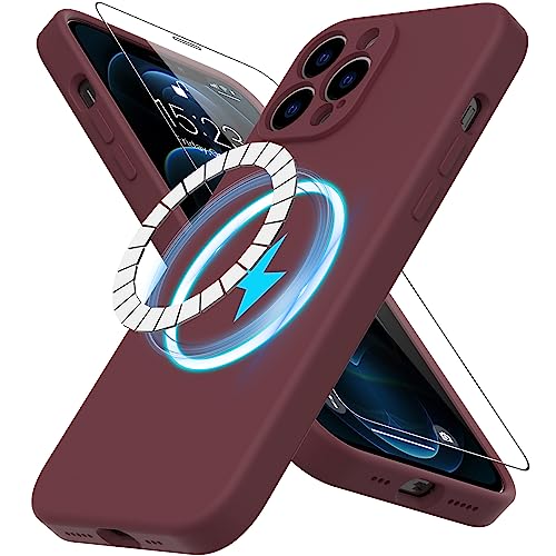 DEENAKIN iPhone 12 Pro Magnetische Hülle mit Displayschutzfolie und verbesserter Kamera-Abdeckung, [geeignet für Magsafe], weich, flexibel, Gel-Gummi, Stoßfänger, Schutzhülle für iPhone 12 Pro 6,1 von DEENAKIN