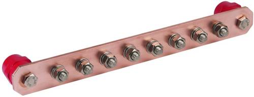 DEHN 472227 PAS I 8AP M10 CU Schraubklemmen-Block 39 kA 1St. DEHN 472227 PAS I 8AP M10 CU Schraubklemmen-Block 39 kA 1St. von DEHN