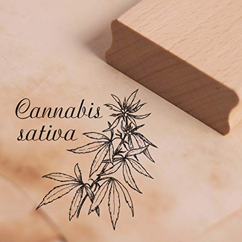Stempel Cannabis sativa - Motivstempel ca. 38 x 38 mm von DEKO-LANDO
