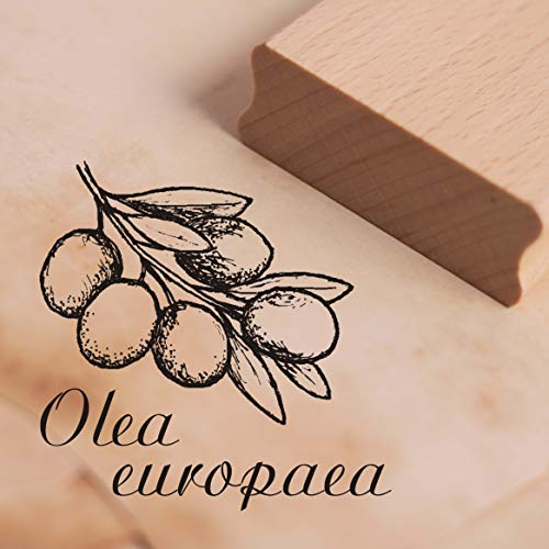 Stempel Olea europaea - Olive Motivstempel ca. 38 x 38 mm von DEKO-LANDO