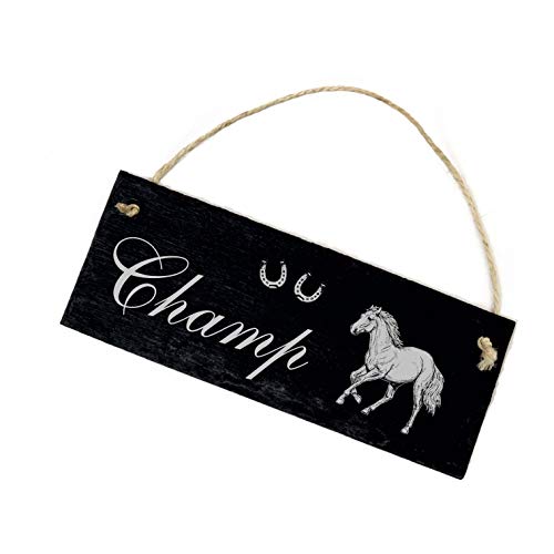 Schild Schiefer Stalltafel Gravur - Haflinger - Pferd Name Boxenschild 22x8cm von DEKOLANDO