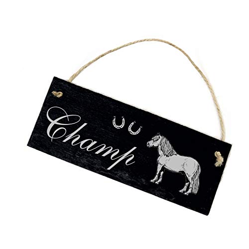 Schild Schiefer Stalltafel Gravur - Shetlandpony - Pferd Name Boxenschild 22x8cm von DEKOLANDO